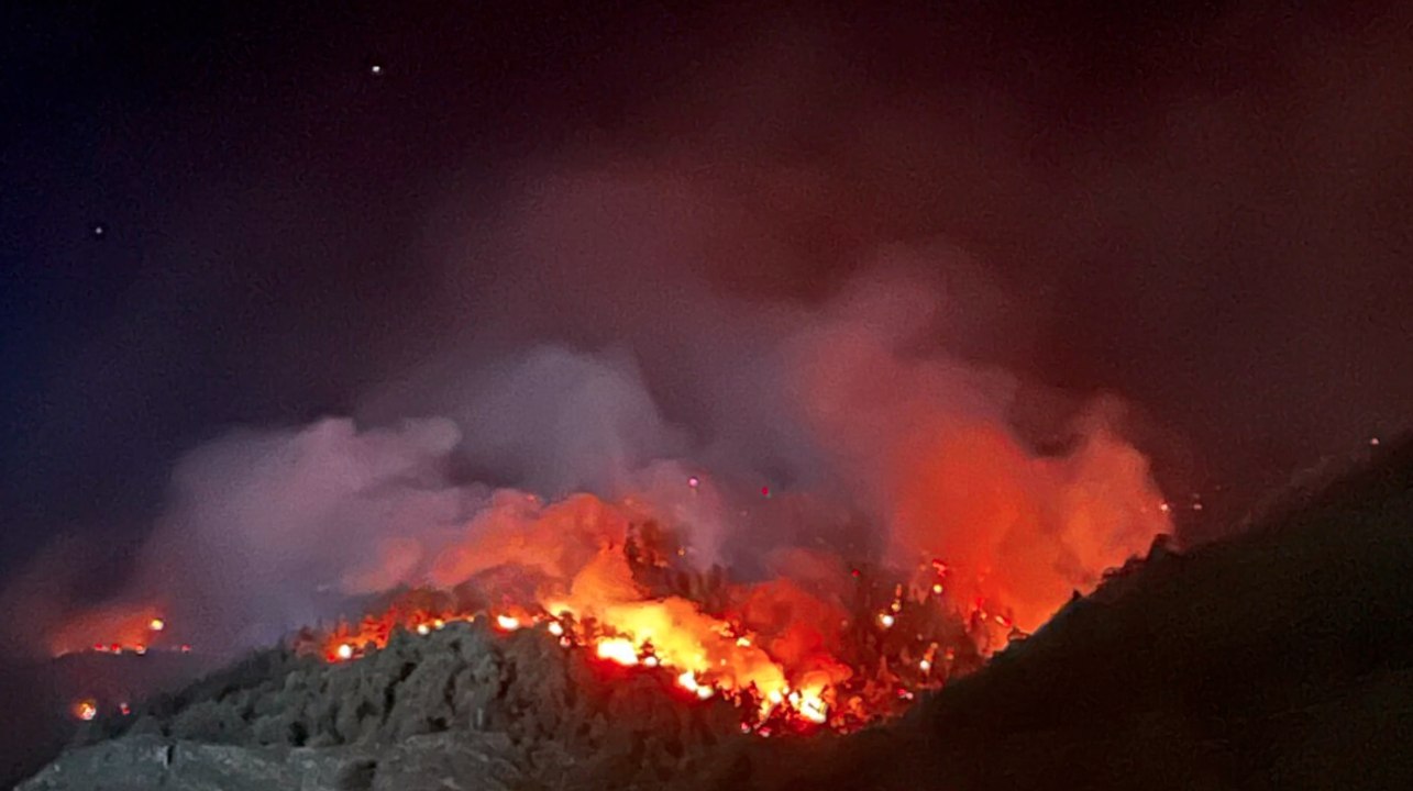 Schweiz: heftiger waldbrand im wallis