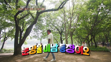 신스틸러 배우 김성균과 함께하는 ↖대구 골목 여행↗