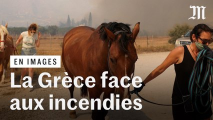En Grèce, une zone balnéaire menacée par les incendies