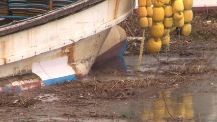 충남 서천군 해안에 장마 쓰레기 천 톤 유입 ...긴급 수거 작업 / YTN