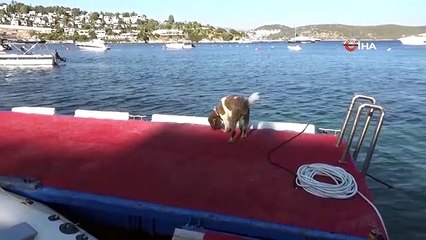Ünlü sunucu yaşadığı dehşet anlarını anlattı Hukuk mücadelesini sonuna kadar sürdürecek