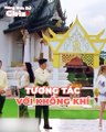 Keep Running: 10 năm lên sóng mới 1 lần gặp hạn tam tai, Nhân viên hậu kỳ thức xuyên đêm xóa Thái Từ Khôn, Bạch Lộc cùng dàn sao bỗng trở nên bất thường vì tương tác với không khí | Điện Ảnh Net