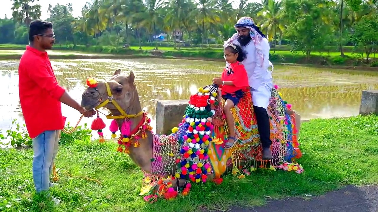 I Bought A Big Camel _ ഞാൻ ഒരു ഒട്ടകത്തെ വാങ്ങിച്ചപ്പോൾ _ M4 TECH _