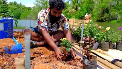 Floating Island Day 2 _ ഒഴുകുന്ന ദ്വീപിൽ മൃഗങ്ങൾക്ക് കൊണ്ടുവന്നപ്പോൾ _ M4 Tech _