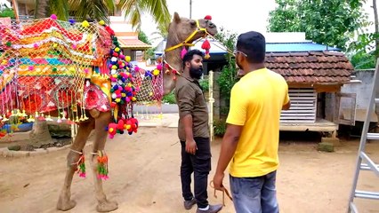നമ്മൾ പുതിയ ബസും കുതിരയും വാങ്ങിച്ചു _ Buying New Horse _ M4 Tech _
