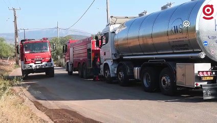 Yunanistan’da orman yangınları