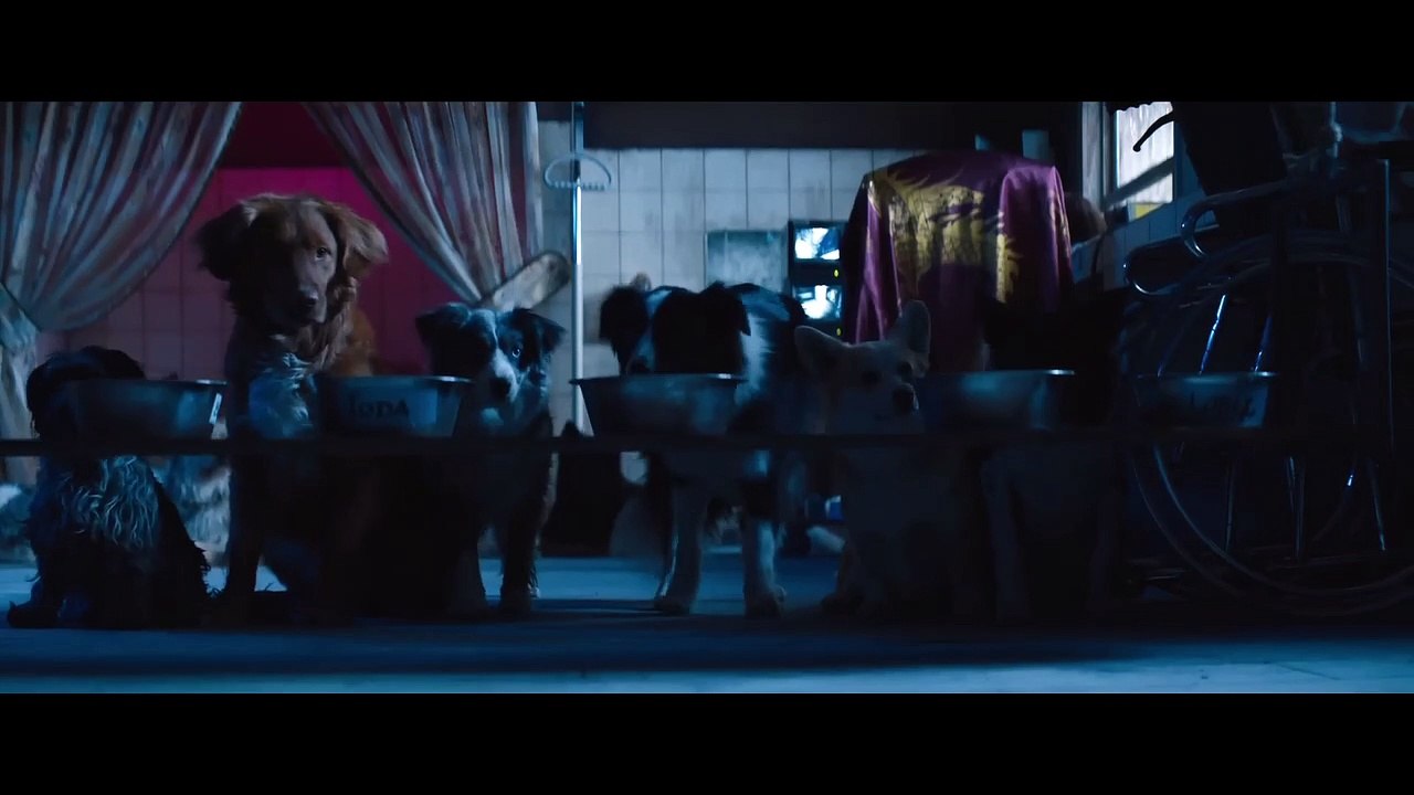 DOGMAN Trailer (2023) Luc Besson