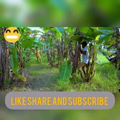 Very Funny videos| Funny Compalition| laugh | hahaha