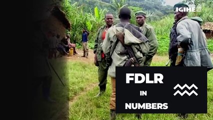 FDLR and FARDC collaboration, Mercenaries, and M23_ Marc Hoogsteyns explores insecurity in the DRC