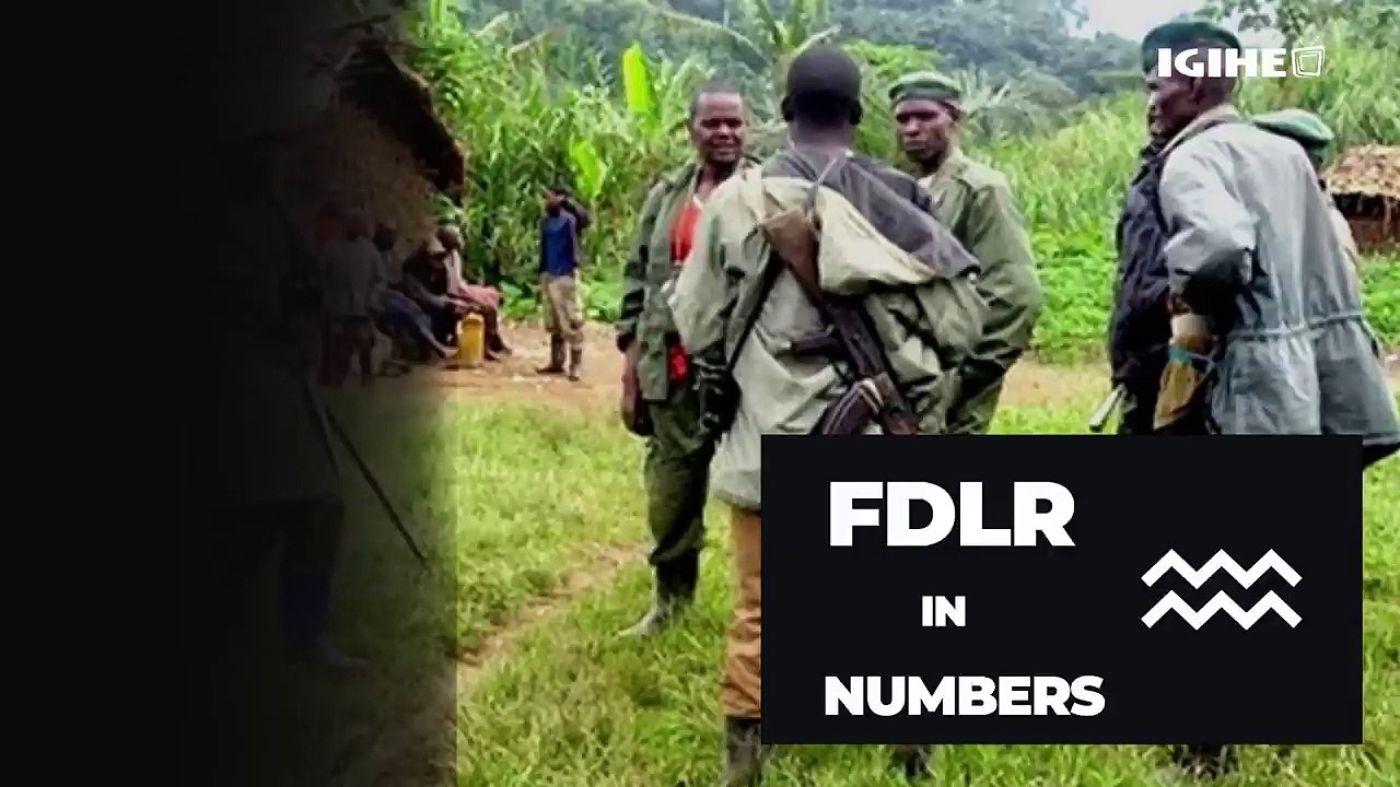 FDLR and FARDC collaboration, Mercenaries, and...