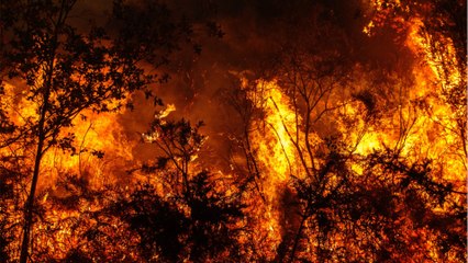 Rekordtemperaturen in Südeuropa: Hitzewelle auch in Deutschland?