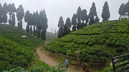 সামান্য বৃষ্টি ধরতেই এ কী দৃশ্য? প্রকৃতির রূপ দেখে চমকে গেলেন শিলিগুড়িবাসী!