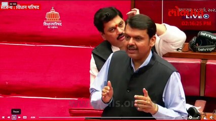 नीलम गोऱ्हेंसाठी फडणवीसांची जोरदार बॅटींग