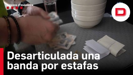 Desarticulada una banda que cometió 90 estafas por valor de un millón de euros