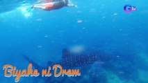 Biyahero Drew, bibisitahin ang mga butanding sa Southern Leyte! | Biyahe ni Drew
