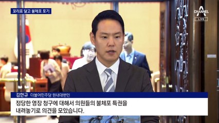 민주당, ‘정당한 영장’ 때만 불체포특권 포기
