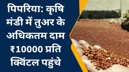 पिपरिया: तुअर के अधिकतम दामों में दस दिनों बाद फिर हुई बढ़ोतरी