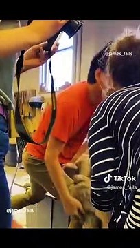 The end _fails _fail _fyp _fypシ _funny _laugh _funnyvideo _funnyvideos _foryoupage _foryou _fypage _failarmy _humorous story _humor broken _british humor _broken humor _humor chileno _college humor _cima humor _college humor