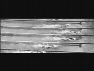 Gentle Touch - Pieter van den Hoogenband