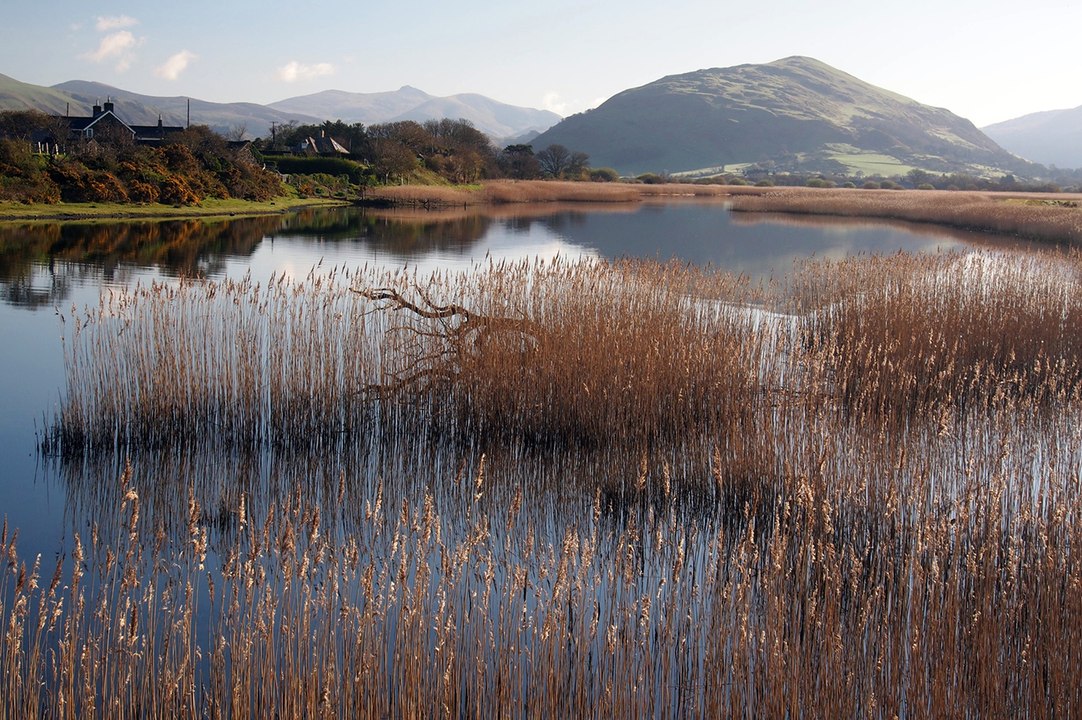 Cambrian News readers' fantastic photos