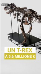 SMART SHORTS - Marché de l'art du mardi 25 juillet 2023