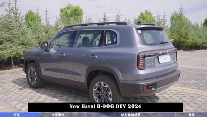 New Haval H-DOG DUV 2024