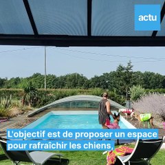 Un véritable "spa" pour chiens, près de Toulouse