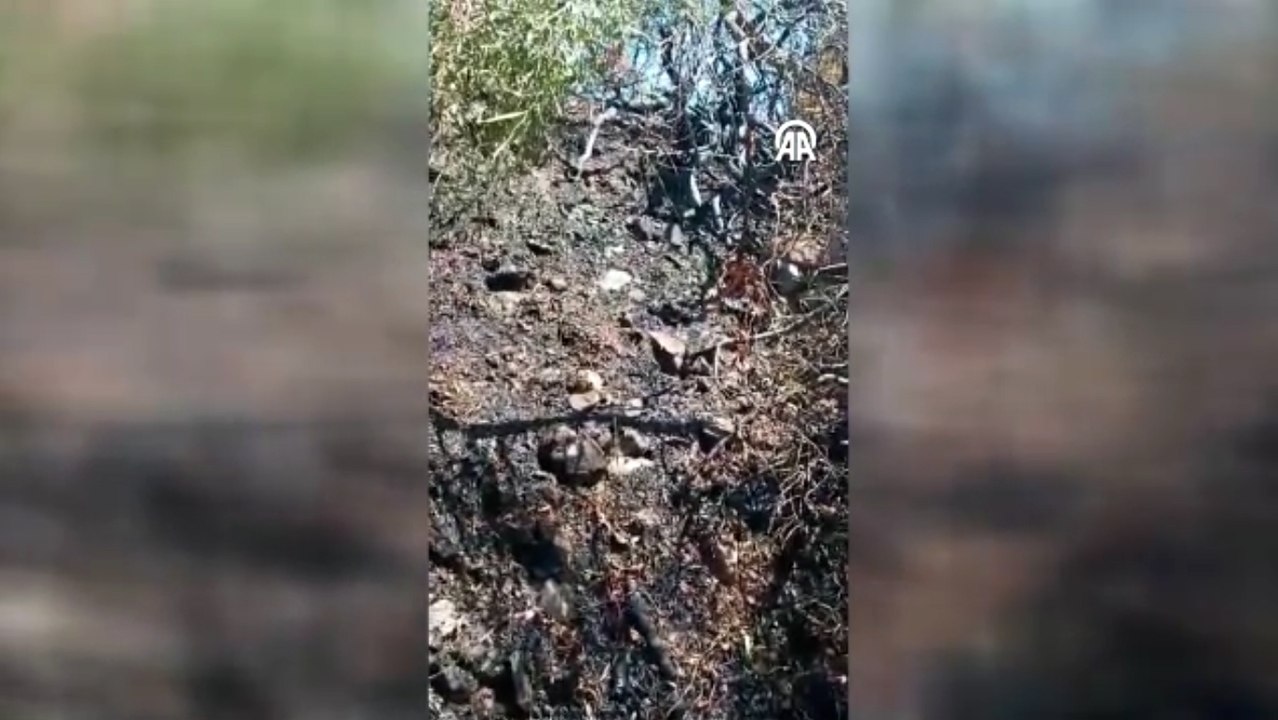 Bodrum'da yangın çıkardığı iddia edilen şüpheli gözaltına alındı