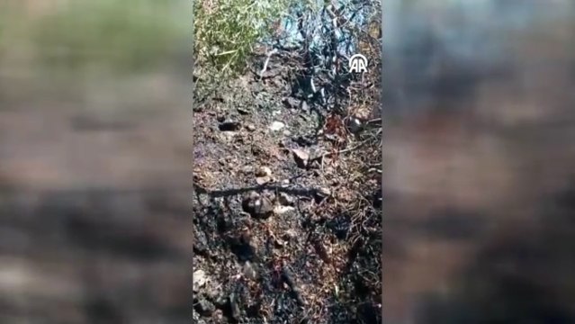 Bodrum'da yangın çıkardığı iddia edilen şüpheli gözaltına alındı