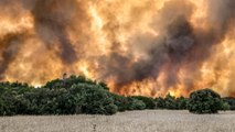 Incendies en Grèce : des habitants évacués pour échapper aux flammes