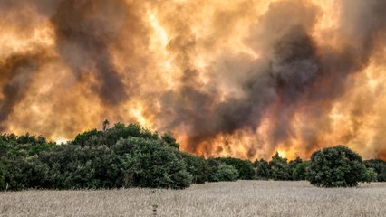 Incendies en Grèce : des habitants évacués pour échapper aux flammes