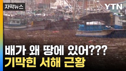 [자막뉴스] "생계 위협할 정도"...폭탄 맞은 서해 / YTN
