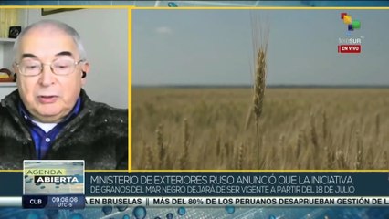 Kleimans: El 51% de las exportaciones ucranianas fueron hacia los países ricos