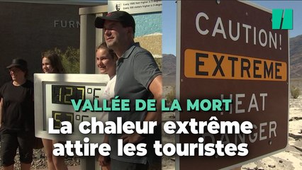 Les températures extrêmes de la Vallée de la Mort sont bien loin de décourager les touristes
