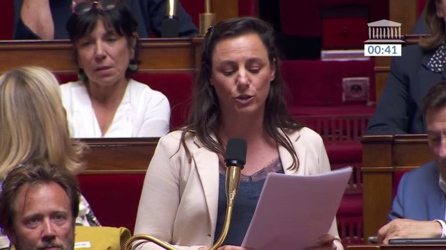 Pour la députée Anna Pic (Socialistes et apparentés), le SNU s'apparente à une colonie de vacances inadaptée aux enjeux