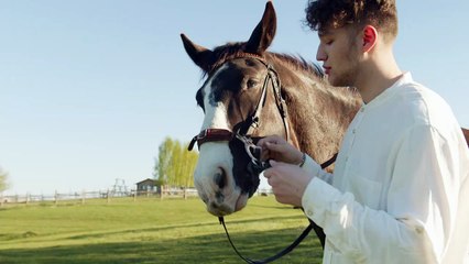 Most Beautiful Animals in USA