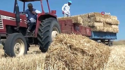 Edirne'de balya işçilerinin kavurucu sıcakta zorlu mesaisi: Günde bin ila bin 500 TL arası kazanıyorlar