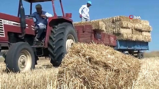 Edirne'de balya işçilerinin kavurucu sıcakta zorlu mesaisi: Günde bin ila bin 500 TL arası kazanıyorlar