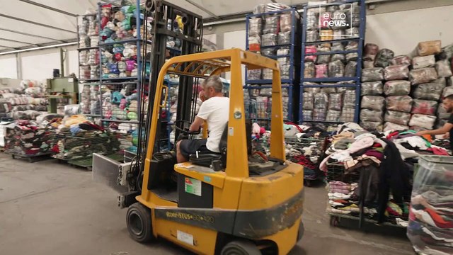 Регенерированная шерсть: снижение воздействия на окружающую среду