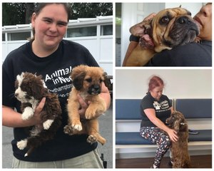 Breaking News from Northants Telegraph 📰: Kettering, Corby, Wellingborough & Rushden Updates