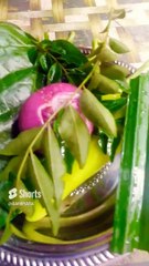 Fish Chilli [Capsicum] Stuffing Curry with Boiled Fish තම්බන ලද මාළු සමග මාළු මිරිස් පිරවූ කරිය