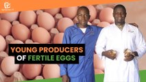 Burkina Faso: Young producers of fertile eggs