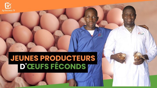 Burkina Faso : Jeunes producteurs d’œufs féconds