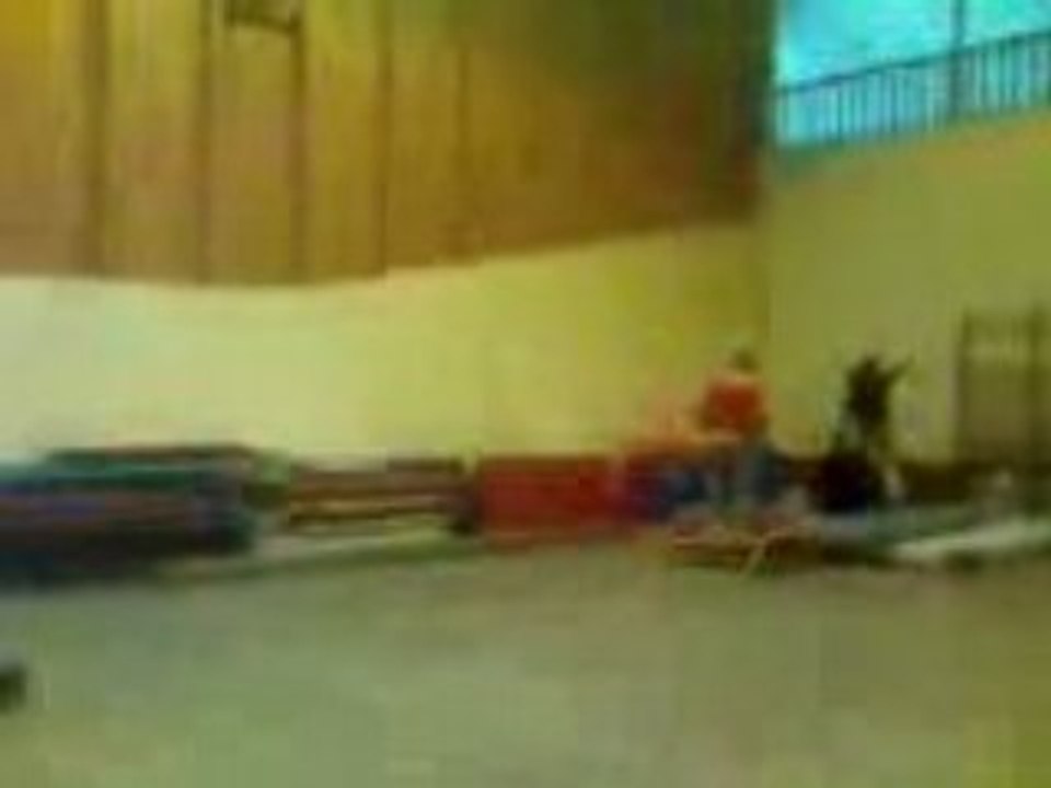 Salto 2