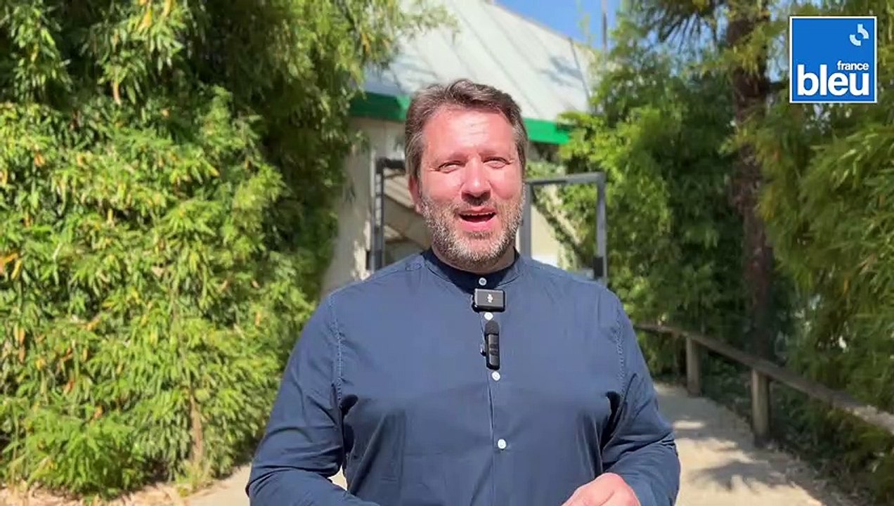 REPORTAGE BEAUVAL ELEPHANTS