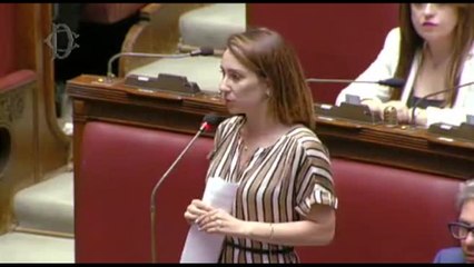 Onori (M5s): Tajani riferisca in Aula su iniziative per Zaki