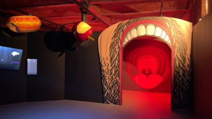 Operation Ouch: Manchester’s Science and Industry Museum is opening brand new taboo-busting exhibition about the digestive system