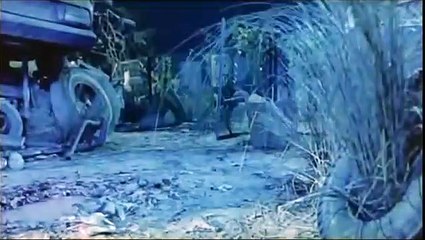 Wesley le vieux chat Bande-annonce (EN)