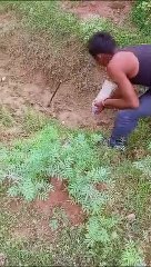 राजस्थान के नागौर जिले में जंगल ही बदल दिया गया