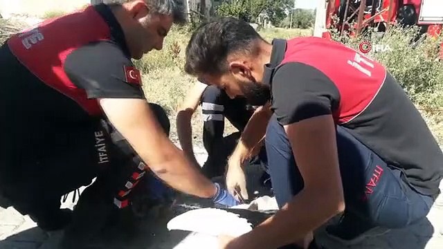 Ayağına ip dolaşan leyleği itfaiye ekipleri kurtardı